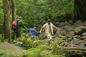 Photos.com When hiking in the woods, protect yourself from possible tick bites by wearing long-sleeved shirts and long pants.
