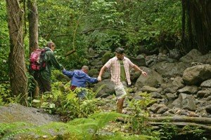 Photos.com When hiking in the woods, protect yourself from possible tick bites by wearing long-sleeved shirts and long pants. 