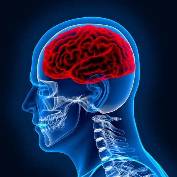 People who have had a concussion may say that they are “fine” although their behavior or personality has changed. If you notice such changes in a family member or friend, suggest they seek medical care. Photo by Shutterstock.com.