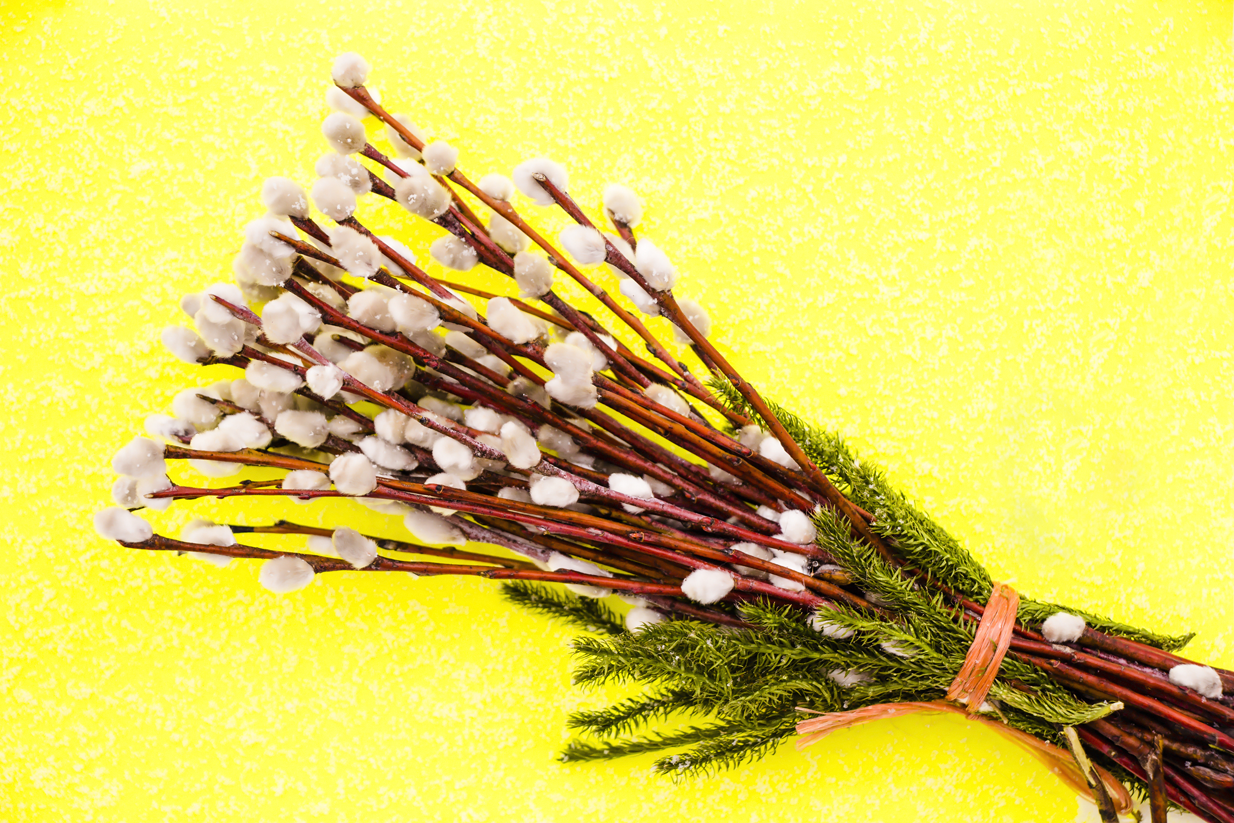 Top 20+ when is palm sunday 2 Celebrating Palm Sunday in Germany
