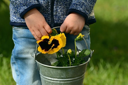 Mother S Day Or Muttertag History In Germany Stuttgartcitizen Com