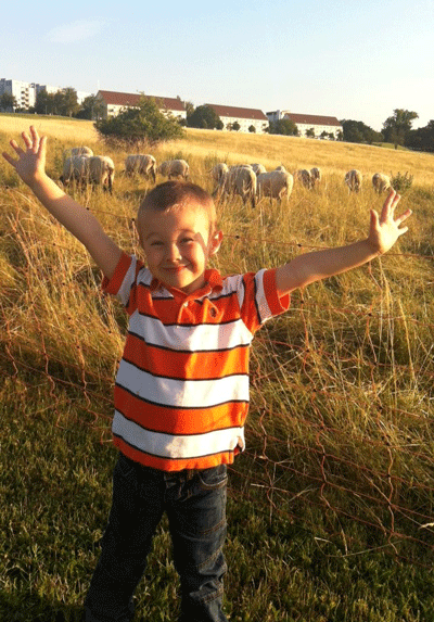 While on an evening walk with his mother, Rigby Carter, 4, expresses his delight at the flock of sheep on RB June 24. Photo by Hillary Carter.