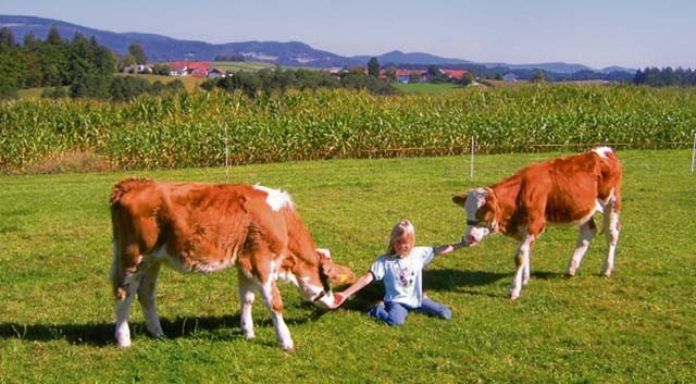 Farm stays all over Europe offer many options from horseback riding, hiking or relaxing in the great outdoors. — Photo by Farm Grudinger