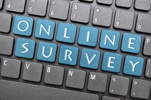 Online Survey