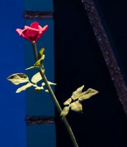 Richard Ranum volunteered to construct the complex rose prop for "Disney's Beauty and the Beast" performance. Photo provided by Alan Buxkemper, FMWR.