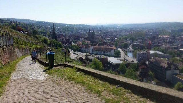 Trail among the wine hills in Esslingen, located just outside of Stuttgart. Photo Credit: Lauren Jelle. 