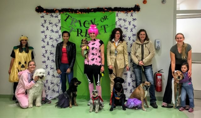 Pup costume contest domestic violence awareness month