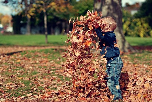 pexels-photo-medium fall leaves children play outdoors 