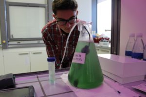 Photo by Teacher Stephanie Payne, AP Biology, Biology, & Anatomy Physiology, Stuttgart High School Jimmy Lynch tests the first version of his reactor panels in a simulated environment suitable for algae.