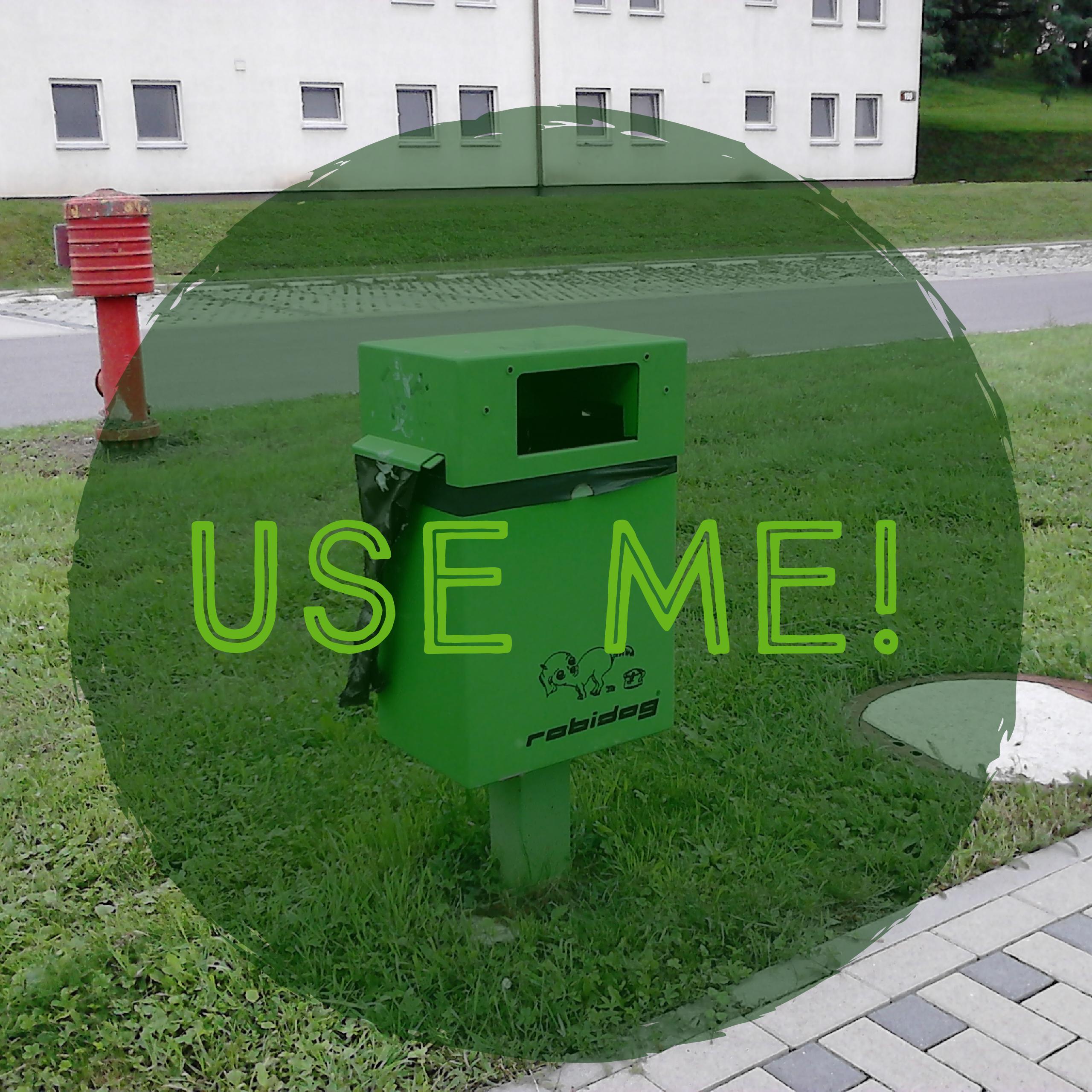 Does Dog Poop Go In Green Bin