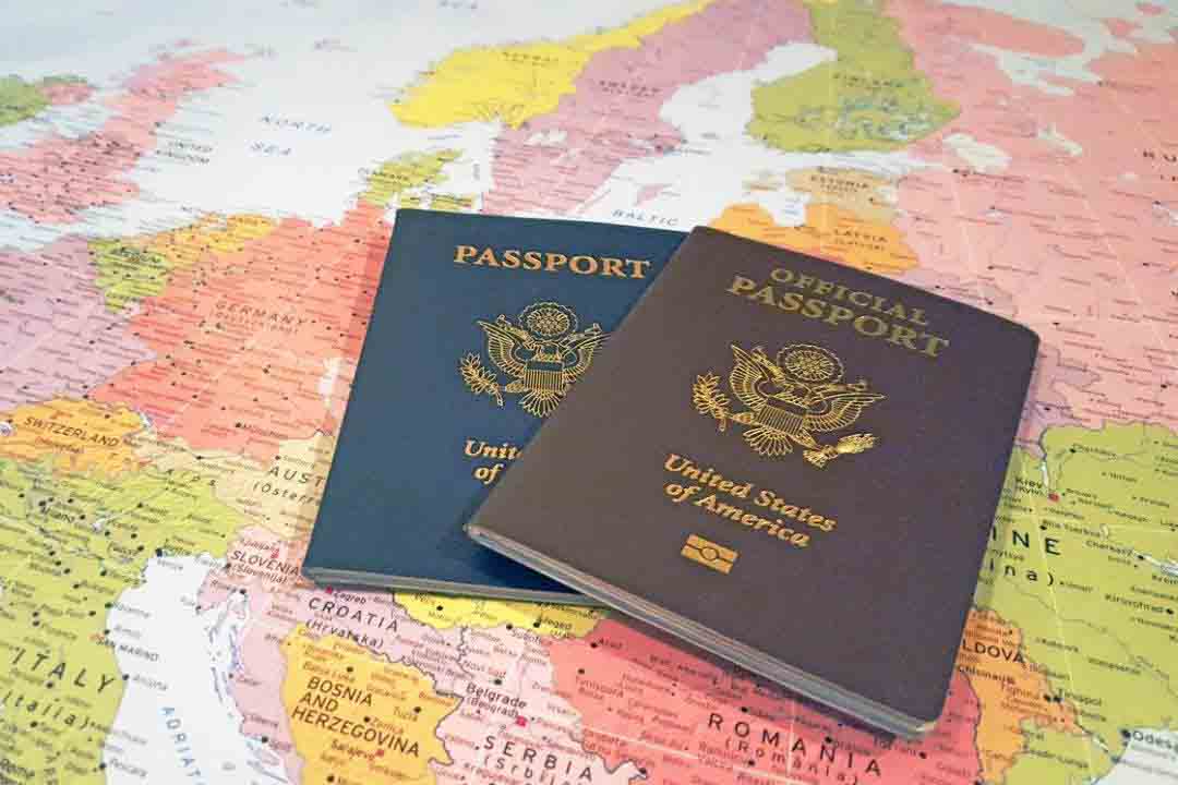 Driver's license & Passports Vendor's